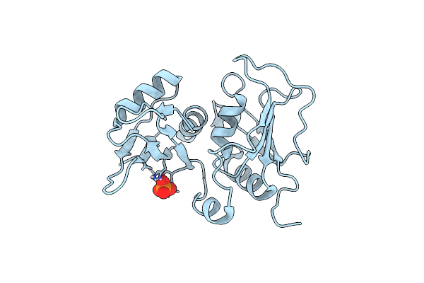 4QPT image