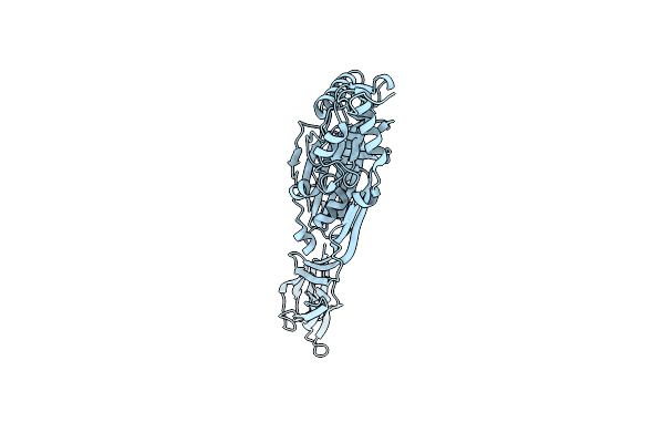 4QQA image