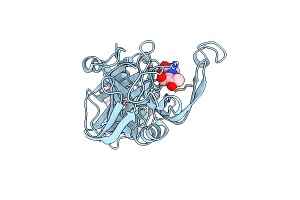 4QTF image
