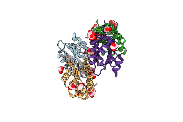 4QTP image