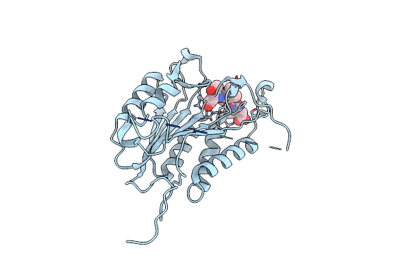 4QU5 image