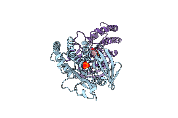 4QUN image