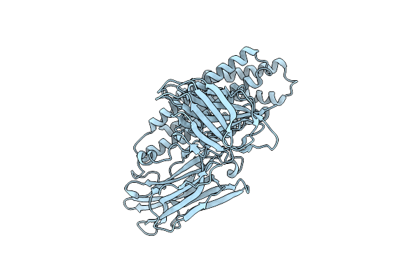 4QX2 image