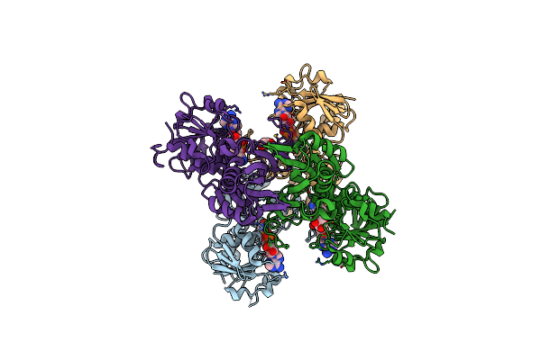 4QX6 image