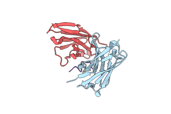 4QXT image