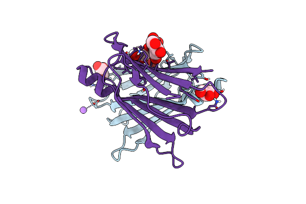 4QXV image