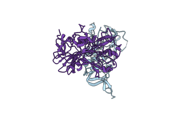 4R19 image