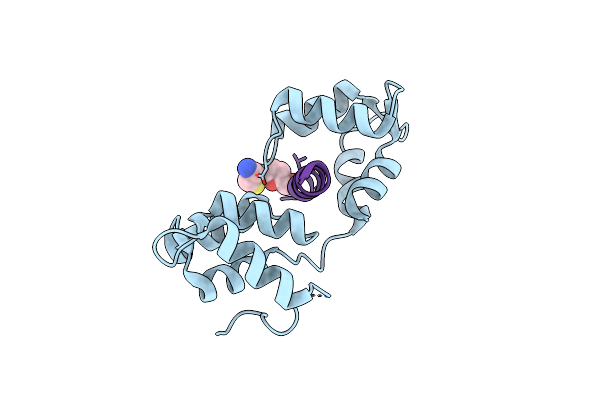 4R1E image