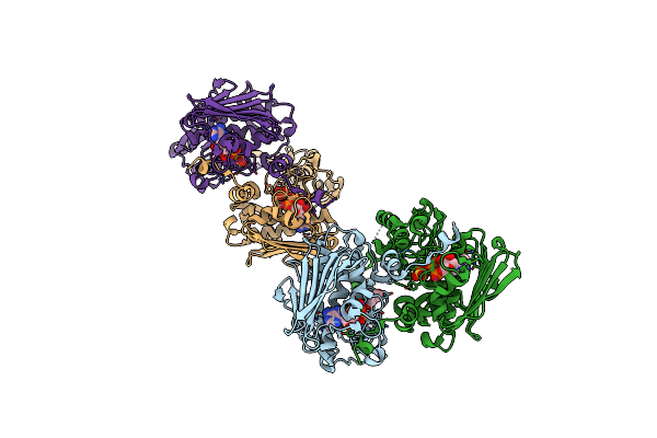 4R1F image