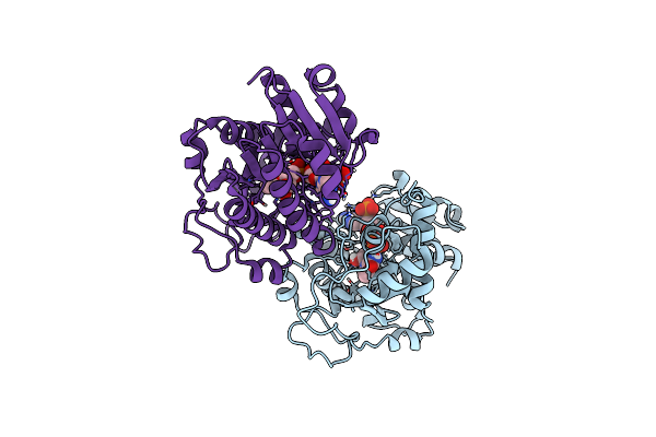 4R1S image
