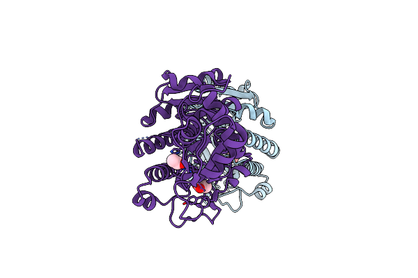 4R1U image