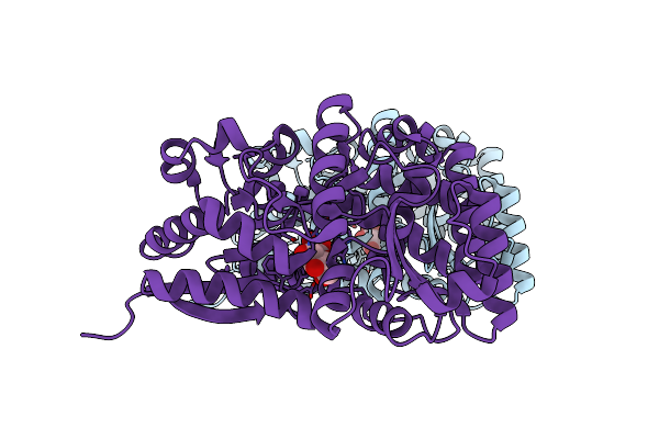 4R2B image