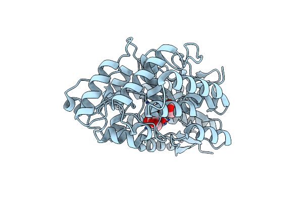 4R2F image