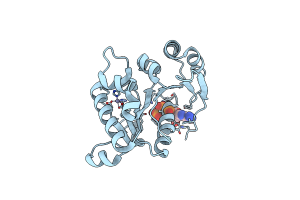 4R2I image