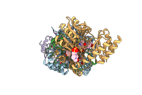 4R2N image