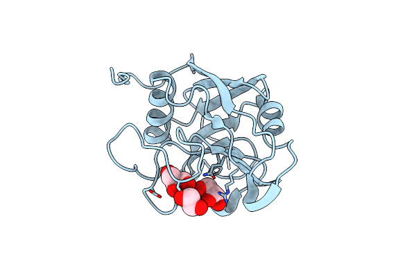 4R3E image