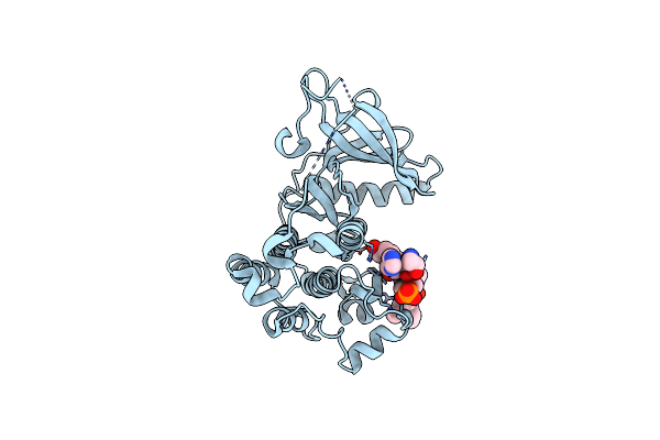 4R3P image