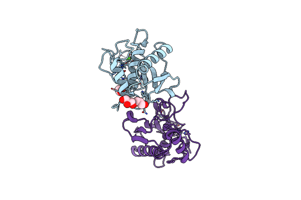 4R3V image
