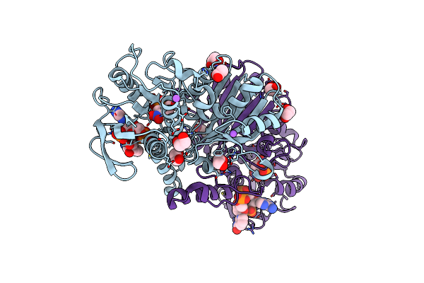 4R41 image