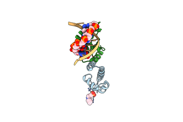 4R4E image