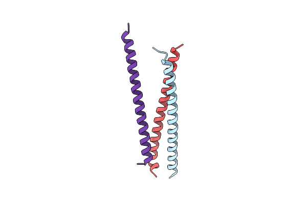4R4M image