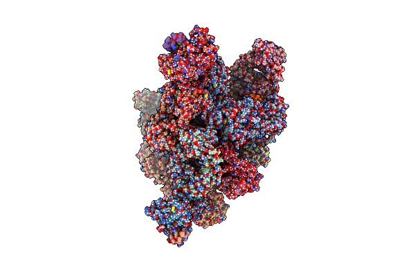 4R4N image