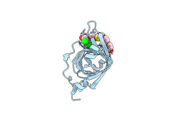 4R4O image