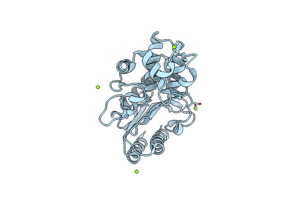 4R4S image