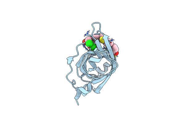 4R4T image