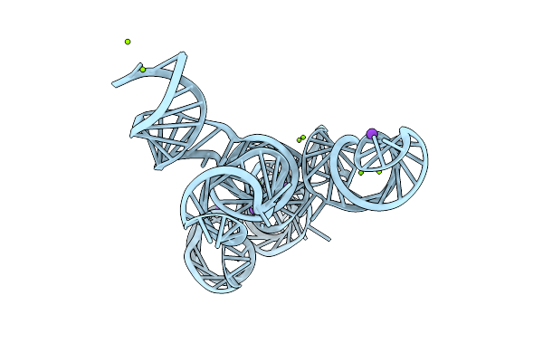 4R4V image