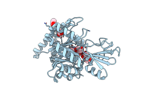 4R5E image