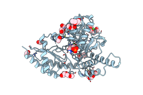 4R5F image