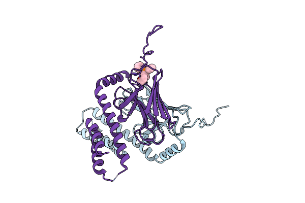 4R5G image