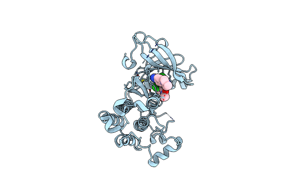 4R5S image