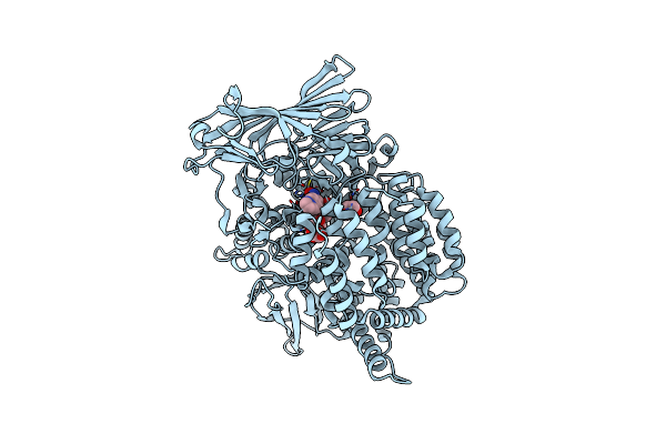 4R5V image