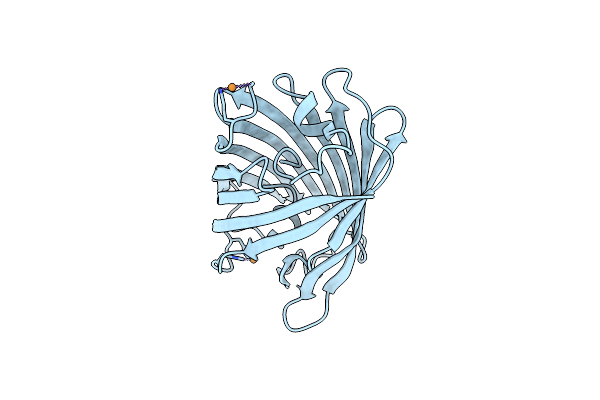 4R6D image