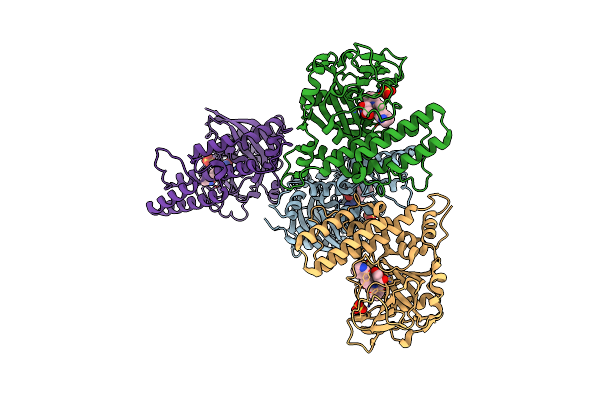 4R6E image