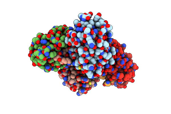 4R6P image