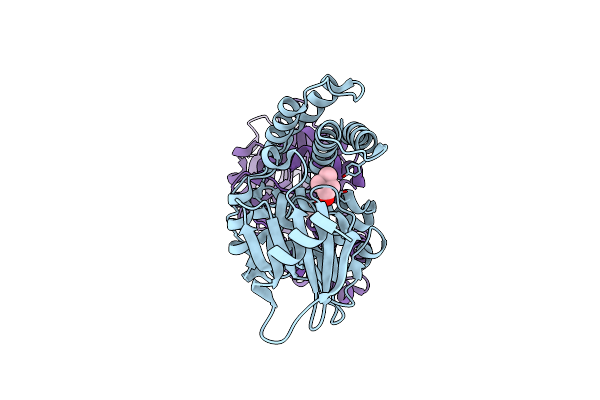 4R7B image