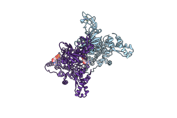 4R7Y image