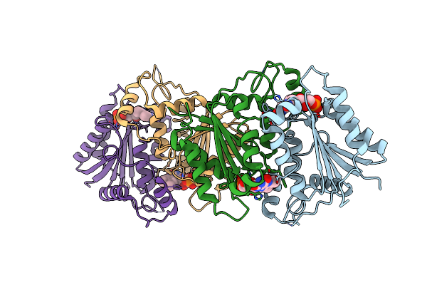 4R81 image