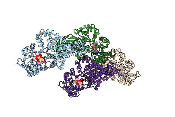 4R84 image