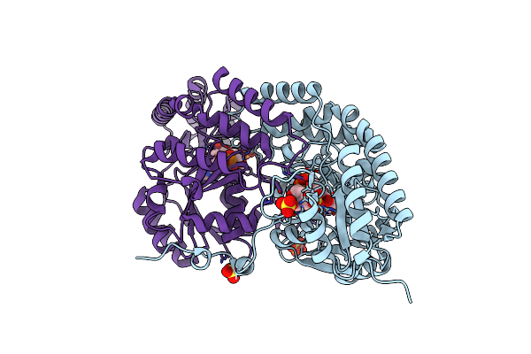 4R8D image