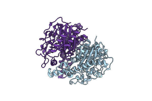 4R8E image
