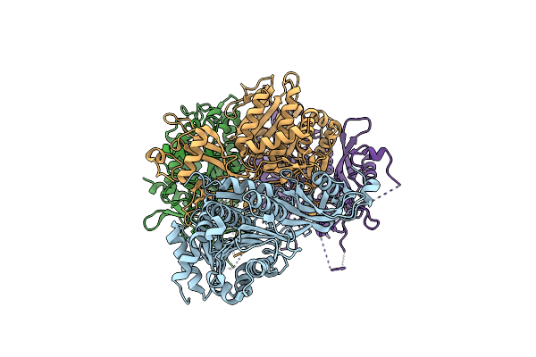 4R8F image
