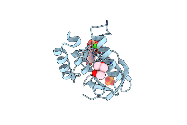 4R8N image
