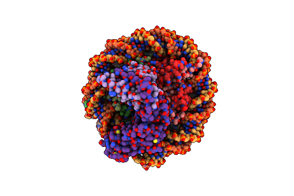4R8P image