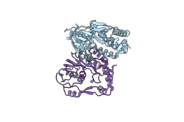 4R8R image