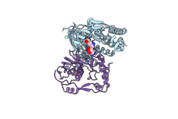 4R8S image