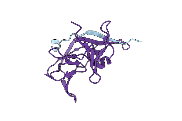 4R8T image